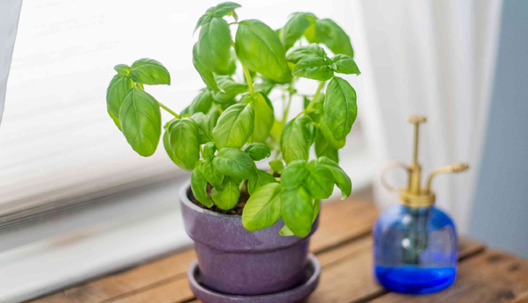 pcos,home remedies,home remedies for pcos,Health tips,fitness tips,women care tips,hygiene tips