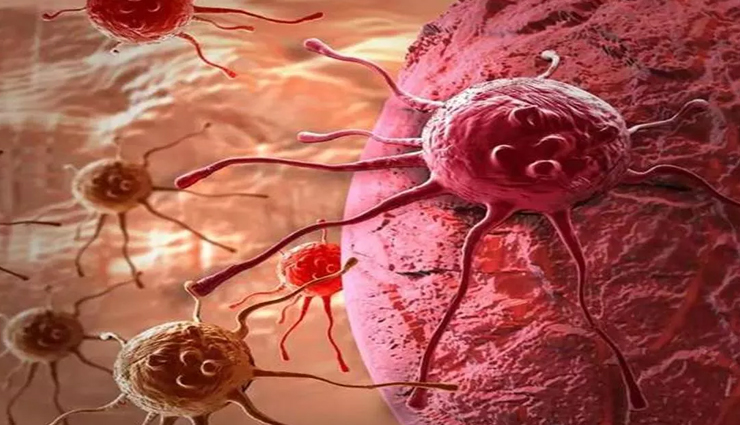 small peas are very beneficial know the benefits of eating them,Health,healthy living