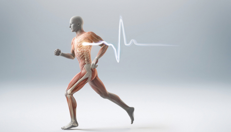 peach health benefits,nutritional value of peaches,peaches for immune support,vitamin c in peaches,antioxidants in peaches,peaches and skin health,peaches for digestion,fiber in peaches,peaches and heart health,peaches for weight management,peaches and hydration,peaches and eye health,peaches and bone health,peaches and cancer prevention,peaches and blood sugar control,peaches and inflammation reduction,peaches and mood enhancement,peaches and pregnancy nutrition,peaches in a balanced diet,incorporating peaches into recipes