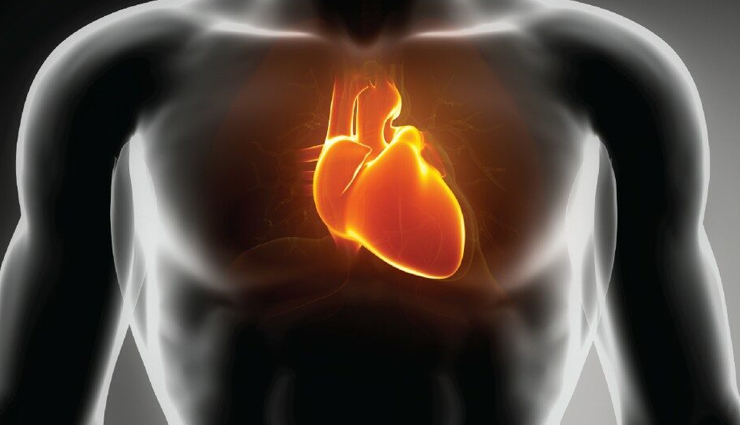 health benefits of peanut butter,reasons to eat peanut butter,nutritional benefits of peanut butter,benefits of peanut butter for heart health,benefits of peanut butter for weight loss,benefits of peanut butter for muscle gain,benefits of peanut butter for bone health,benefits of peanut butter for skin health,benefits of peanut butter for hair health,benefits of peanut butter for energy,benefits of peanut butter for athletes,benefits of peanut butter for the immune system,benefits of peanut butter for mental health,healthiest peanut butter options,peanut butter and cholesterol,peanut butter and cancer