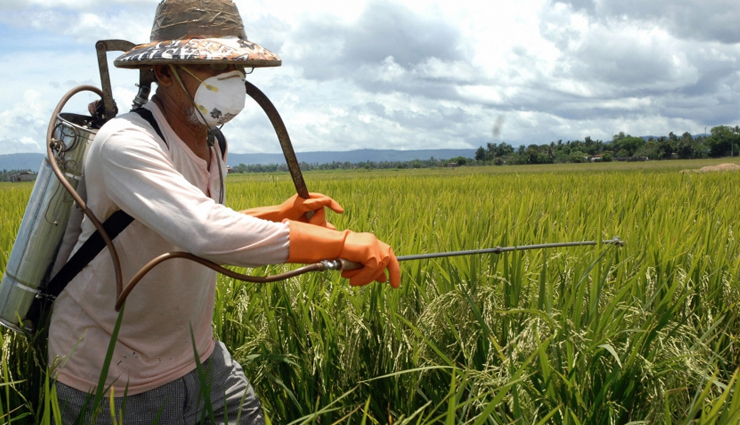 side effects of eating peanuts,peanuts health tips,Health tips,fitness tips