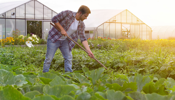 harmful effects to eating too many peanuts,peanuts,side effects of peanuts,Health tips,fitness tips