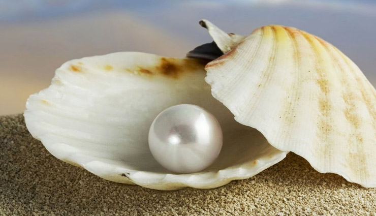 different gemstones,ruby gemstone,manik,pearl gemstone,moti,red coral gemstone,moonga,emerald gemstone,panna,yellow sapphire gemstone,pukhraj,blue sapphire gemstone,neelam,diamond stone,hessonite gemstone,gomed,cats eye stone,astrology about gemstones,right way to wear gemstones,astrology tips