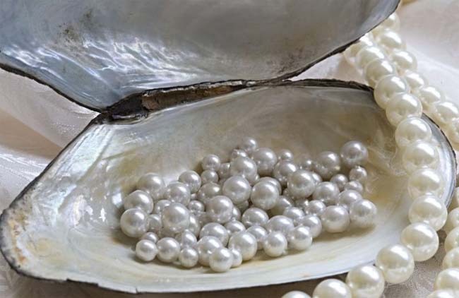 pearl measures,pearl,life problem ,मोती के उपाय,जीवन