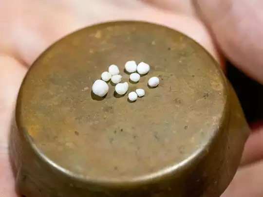 Oyster खा रही महिला की खुली किस्मत, अंदर से निकले 12 बेशकीमती मोती new orleans,oysters,seafood