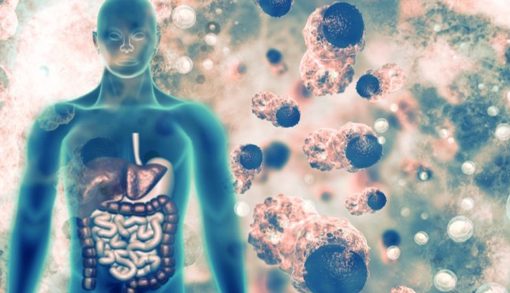 pears,health benefits of pears,Health tips,fitness tips