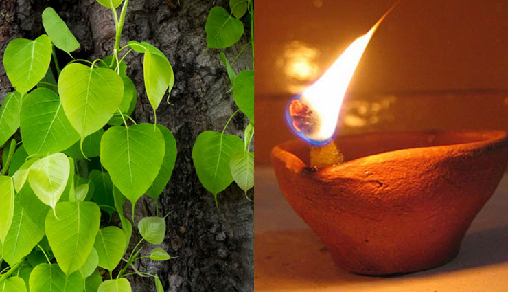 dhanteras 2021 lighting diya tips,dhanteras 2021,dhanteras