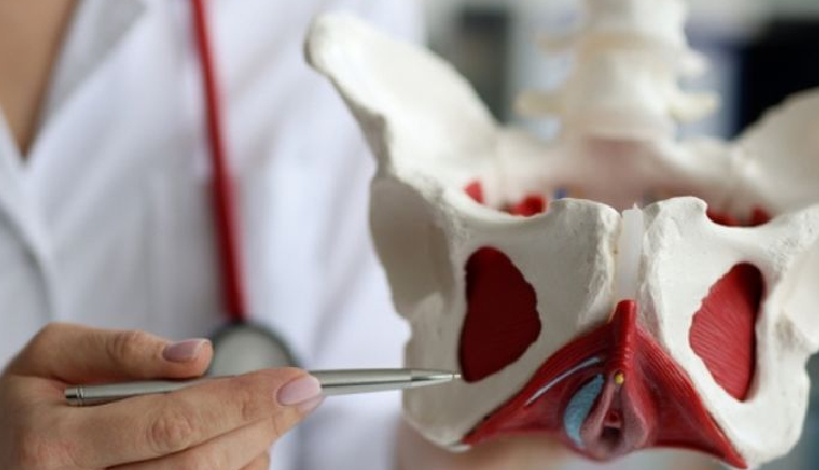 urology,female urology,urinary tract system,urologic conditions,common urologic issues,women health,urologist expertise,female reproductive system,anatomy and urologic health,hormonal impact on urology,preventive measures for utis,overactive bladder (oab),interstitial cystitis (ic),urinary incontinence (ui),postpartum urological issues,pelvic organ prolapse (pop),urological treatments,female urology diagnosis,pelvic floor exercises,urological health awareness,urethral health,bladder health,kidney health,ureter conditions,prostate health in women,women reproductive health,urological disorders,menopause and urology,pelvic health,pregnancy-related urological issues,female sexual health,bladder control,incontinence treatment,urological symptoms in women,hormonal impact on bladder,female urological examinations,urology and lifestyle choices,reproductive system diseases,urological health education,urological wellness