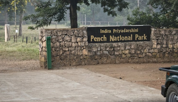 jim corbett national park is in,national park india,tigers in jim corbett,tigers in jim corbett national park,wildlife tour,ranthambore national park india,ranthambore tigers,corbett india,corbett national park in india,about corbett national park,kanha national park india,kaziranga national park in india,tiger tours india,wildlife tour packages in india,kanha national park tour package,tigers in kanha national park,wildlife tour packages