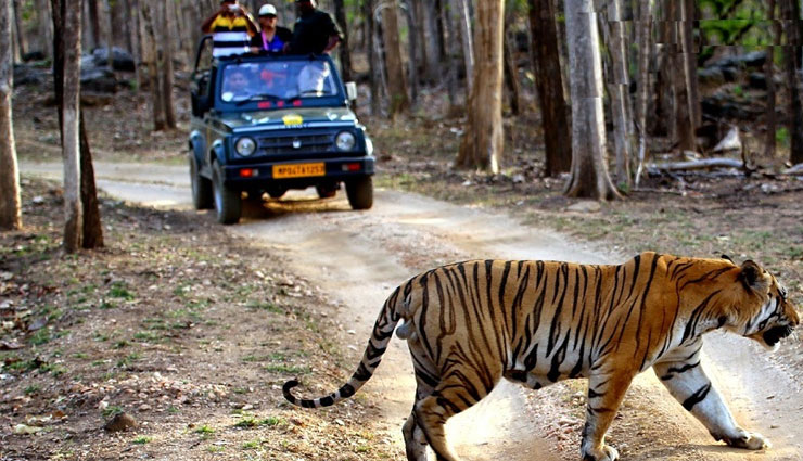 tourist places near nagpur,best places to visit near nagpur,kanha national park near nagpur,bhimbetka caves near nagpur,hill stations near nagpur,wildlife sanctuaries near nagpur,lonar lake near nagpur,historical places near nagpur,trekking near nagpur,pilgrimage sites near nagpur,weekend getaways from nagpur,national parks near nagpur,nagpur tourist spots,best destinations near nagpur,nagpur travel guide