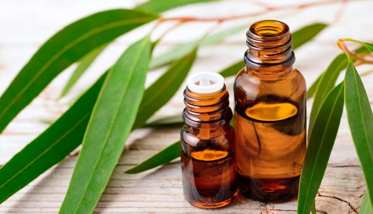 joint pain,joint pain remedy,joint pain home remedy,suffering from joint pain,pain,pain relief,Health,Health tips