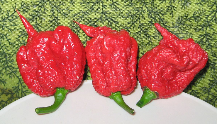 hottest peppers in the world,travel,holidays,hottest  peppers