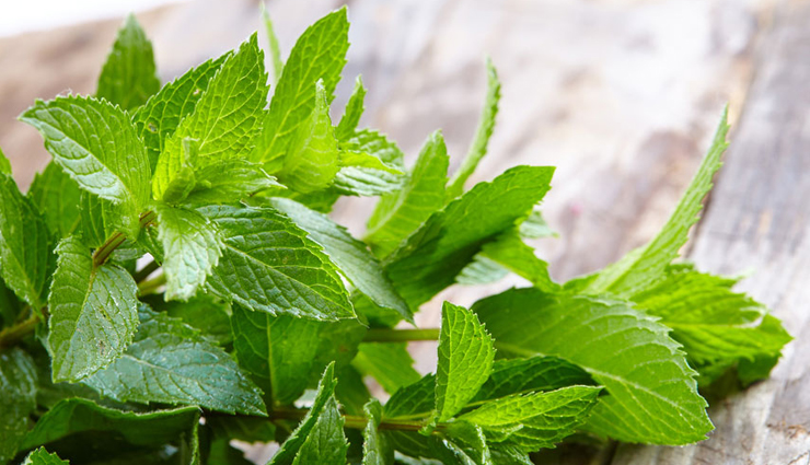 ginger,5 ways to treat burping at home,burps,burping,gas problems,poor digestion,peppermint,chamomile,cardamon,fennel