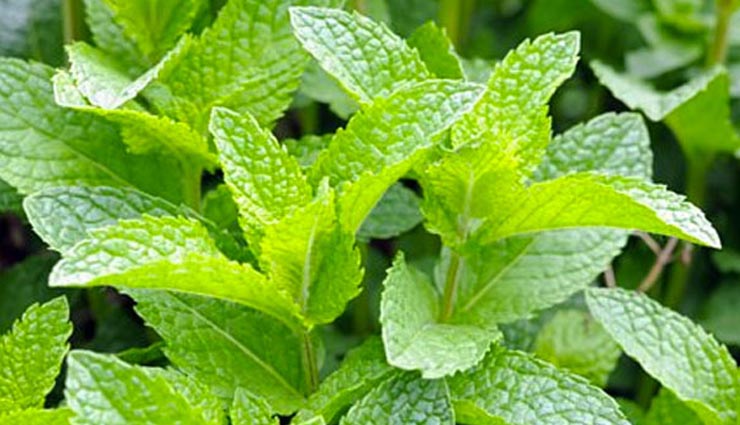 5 ways to get rid of pimples overnight,fastest way to get rid of pimples,easiest way to get rid of pimples,skin care tips