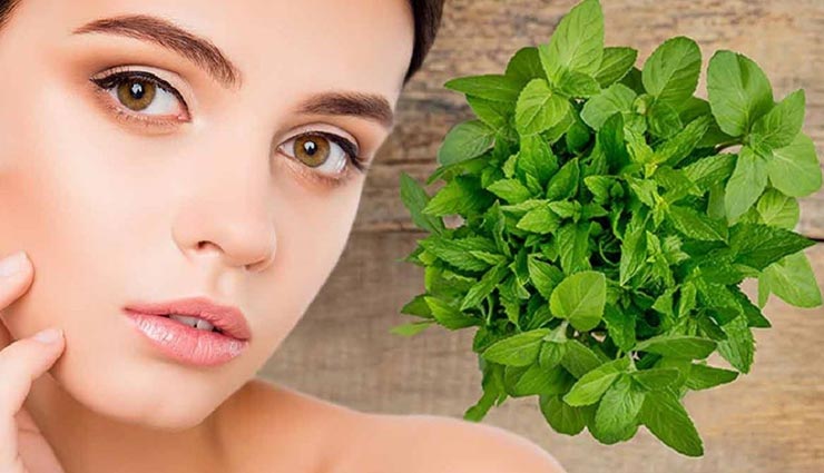गर्मियों में पुदीना बनेगा आपकी खूबसूरती का साथी, इन फेसपैक का करें इस्तेमाल