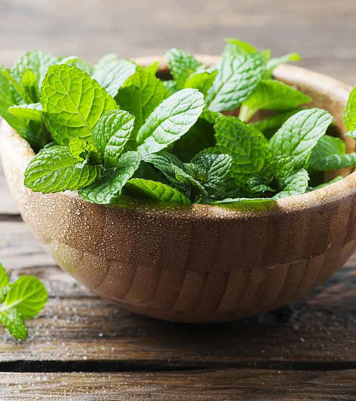 health benefits of peppermint leaves,peppermint leaves,Health tips,healthy living,pudina leaves
