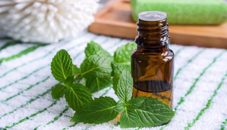 5 best oil to treat your headache