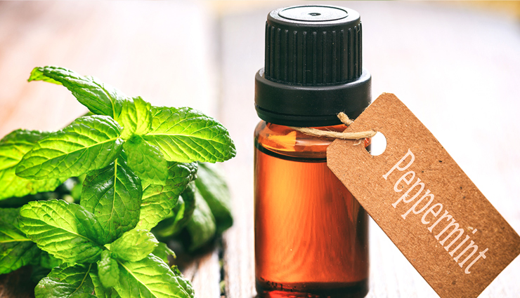 oil for healthy scalp,essential oil for scalp,oil for scalp,hair care tips,scalp care tips,lavender essential oil,khus essential oil,rosemary essential oil,chamomile essential oil,ylang ylang essential oil,peppermint essential oil,cedarwood essential oil,petitgrain essential oil,clary sage essential oil,patchouli essential oil,beauty,beauty tips,hair care beauty tips