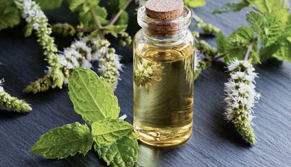 6 Amazing Health Benefits of Peppermint Oil