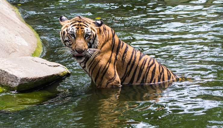 national parks of the country to see extinct animals,holidays,travel,tourism