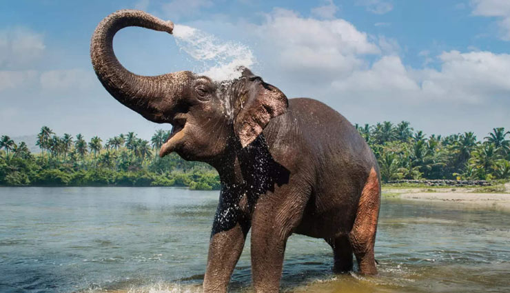 places to visit in kerala in october,kerala october destinations,best places to visit in kerala,alleppey backwaters,kochi attractions,munnar hill station,kerala travel guide,wayanad wildlife,varkala beaches,periyar wildlife sanctuary,october travel kerala,kerala tourism,must-visit kerala in october,best time to visit kerala,kerala sightseeing in october