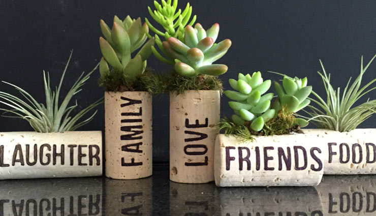 प्लांट्स से कुछ इस तरह सजाये घर household,decorate house,decorate house with plants,hanging plant,on watering plant,succulents,personalized plant,mug plant