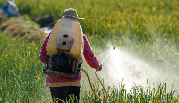 beautiful skin,food to avoid for beautiful skin,skin care tips,beauty tips