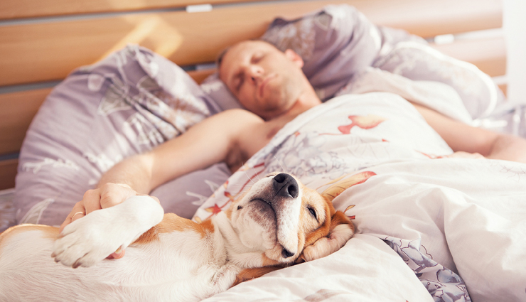 sleep,tips to get quality sleep,effective ways to get quality sleep,healthy sleep for healthy life,Health,Health tips