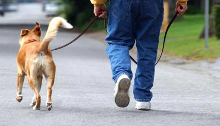 आखिर कुत्ते क्यों करते हैं हमेशा टांग उठाकर पेशाब, इस राज का रहस्य कर देगा सोचने पर मजबूर interesting facts,amazing facts,facts related dog,reason behind dog leg up during the toilet