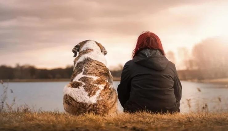 weird news,weird incident,property to pet dog,madhya pradesh