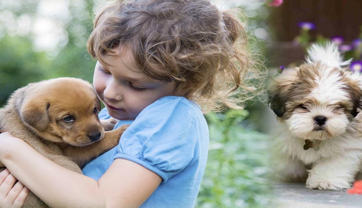 गुड लक लाते हैं ये जानवर, पालें या करें सेवा