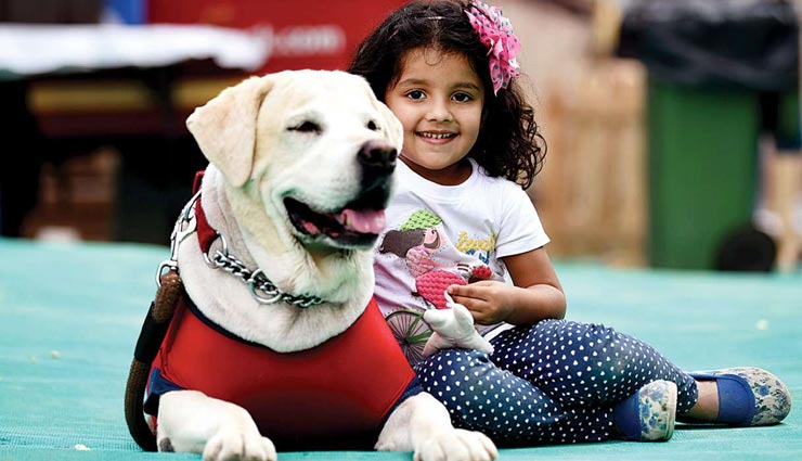 अमेरिका ने लगाया भारत समेत 100 से अधिक देशों से कुत्तों को लाने पर प्रतिबंध