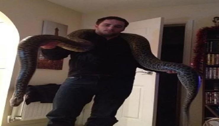 इस शख्स ने पाल रखा है 18 फीट लंबा सांप, बिना किसी डर के रखता हैं अपने दो बच्चों के साथ weird news,weird pet,england,world biggest burmese python,marks hobbs