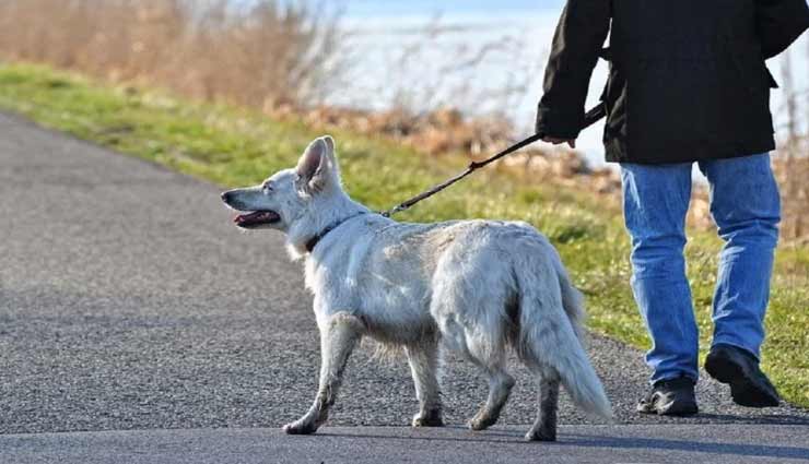भारत के इस राज्य में पालतू जानवरों को लेकर किया गया यह अनोखा फैसला weird news,weird information,assam police,abandoning pets,coronavirus