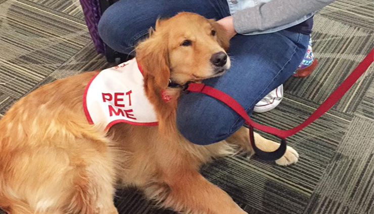 getting bored at airport,travel,travel tips,airport tips,things to do in airport,holidays