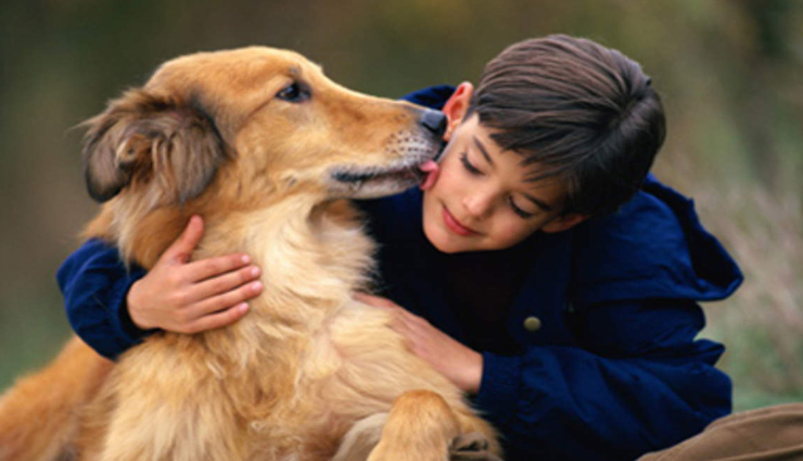 10 Hygiene Habits You Must Follow With Your Pets