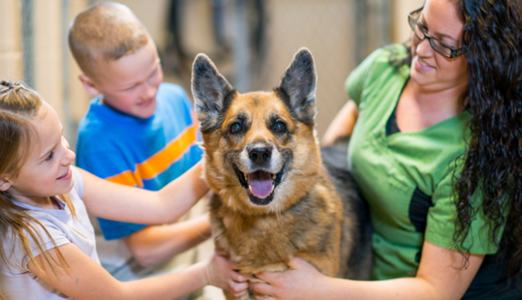 immunity,boost your immunity,effective ways to boost your immunity,simple ways to improve your immunity,Health,Health tips