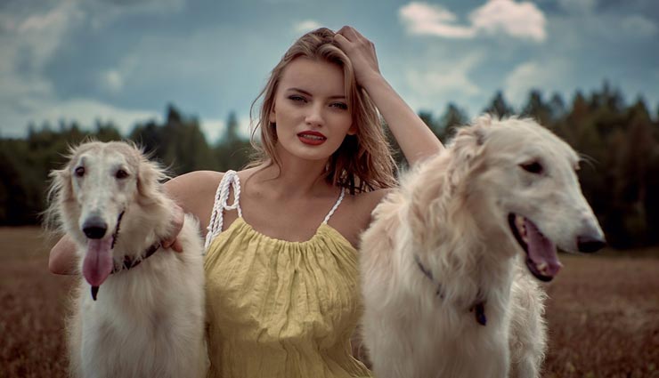 home tips,pets care tips,pets on diwali