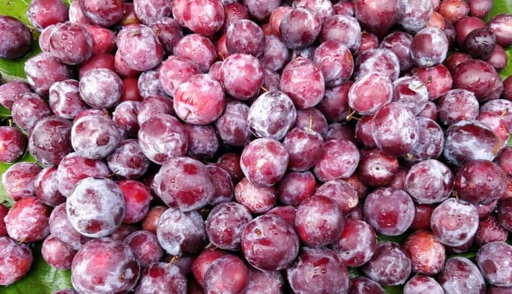 दिल की बीमारी से लेकर पेशाब की जलन से छुटकारा दिलाता है 'फालसा', खाने के ये फायदे चौंका देंगे आपको