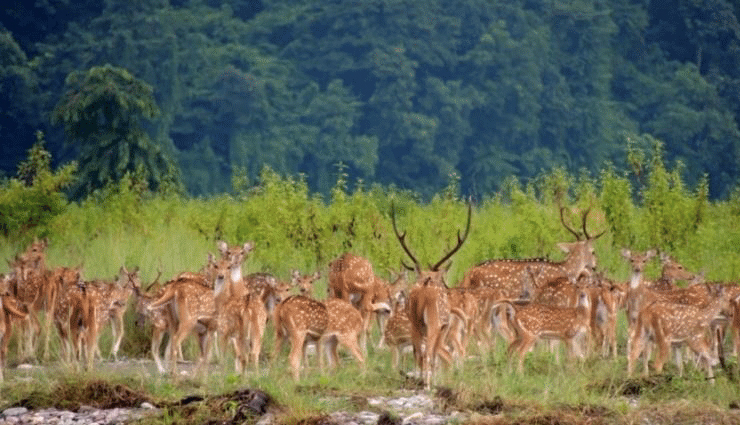 national parks in bhutan,wildlife sanctuaries in bhutan,bhutan natural wonders: national parks and wildlife sanctuaries,explore bhutan national parks and wildlife sanctuaries,nature retreat: national parks and wildlife sanctuaries in bhutan,bhutan biodiversity hotspots: national parks and wildlife sanctuaries,discovering wildlife in bhutan national parks,get close to nature in bhutan wildlife sanctuaries,bhutan travel: must-visit national parks and wildlife sanctuaries,conservation and adventure: bhutan national parks and wildlife sanctuaries