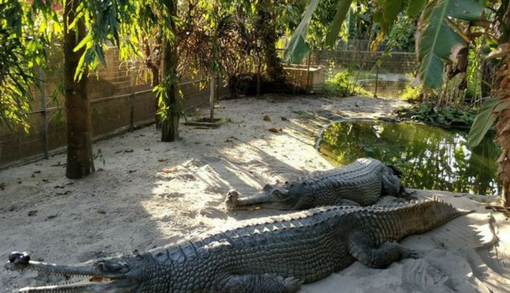 phuentsholing tourist attractions,must-visit places in phuentsholing,top tourist spots in phuentsholing bhutan,attractions to see in phuentsholing,best places to visit in phuentsholing,phuentsholing sightseeing destinations,explore phuentsholing tourist hotspots,phuentsholing travel highlights,key landmarks in phuentsholing bhutan,phuentsholing bucket list attractions