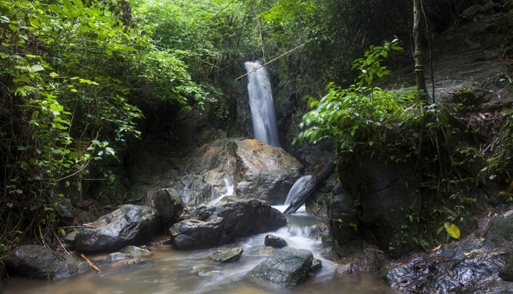 phuket,places to visit in phuket,tourist attraction in phuket,patong beach,phang nga bay,kalim beach,khao phra thaeo wildlife park,thalang national museum