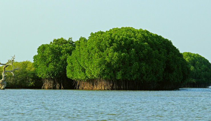 beautiful places in india,peaceful places in india,india tourism,tourist places in india,travel,travel guide