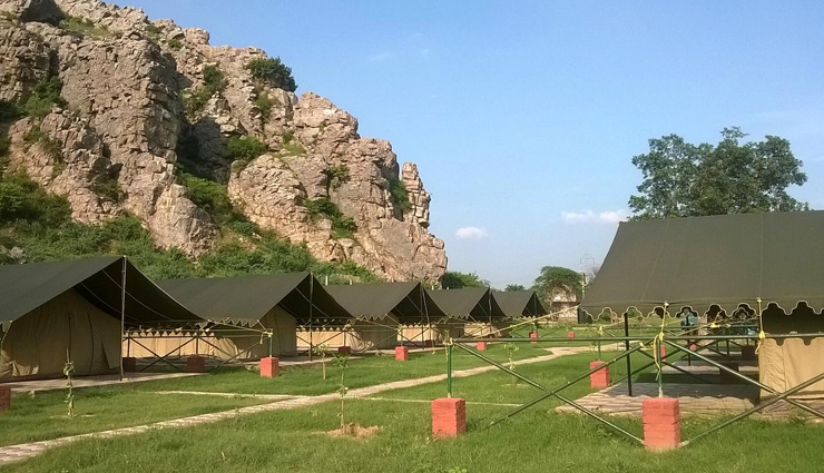 fun filled places in delhi,places to visit with kids,kids places in delhi,picnic places in delhi,delhi,national zoological park,rail museum delhi,botanix nature resort,camp wild dhauj,okhla bird sanctuary