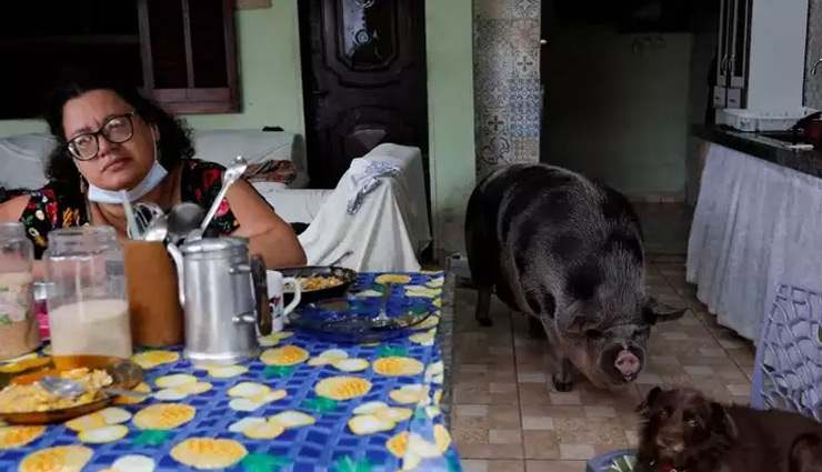 250 किलो की हो गई 3 साल की लीलिका, बढ़ते वजन को लेकर दुनिया भर हो रही चर्चा 