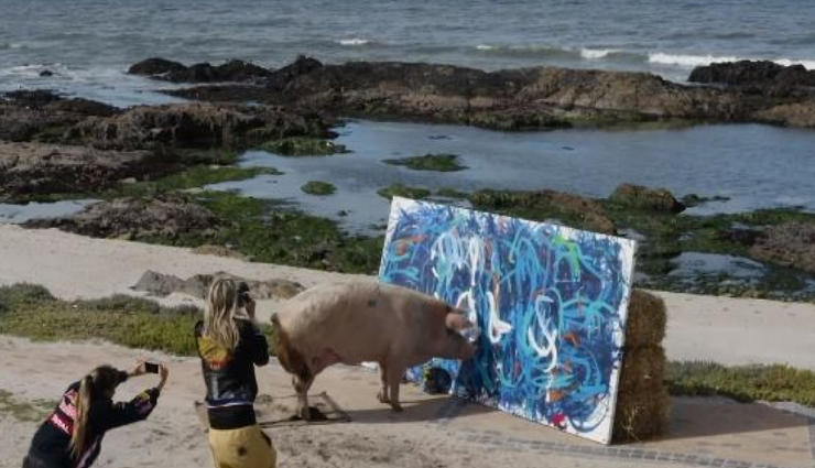 इस सुअर की बनाई पेंटिंग बिकती है लाखो में, आखिर क्या हैं ऐसी खासियत?