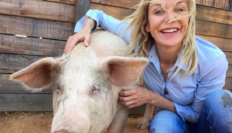 पेंटर है ये सुअर, बनाती है गजब की पेंटिंग, बिकती है लाखों में south africa,painter pigcasso,money by painting,pig painter,weird story,weird news,omg,omg news