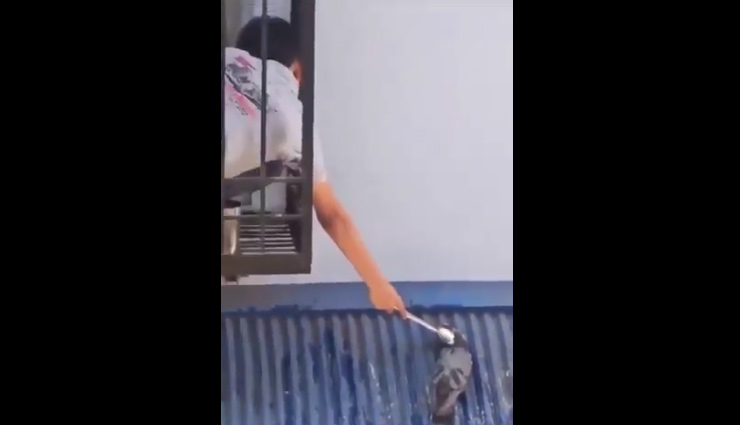 धूप में बैठे कबूतर के साथ बच्चे ने बालकनी से किया कुछ ऐसा, वीडियो दिल जीत लेगा आपका 