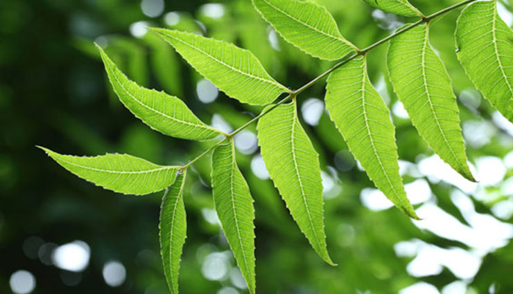 tips to get rid of pimples,pimples,beauty tips,skin care tips