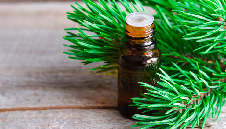 pine essential oil,beauty benefits of pine essential oil,skin care tips,beauty tips,oils for skin